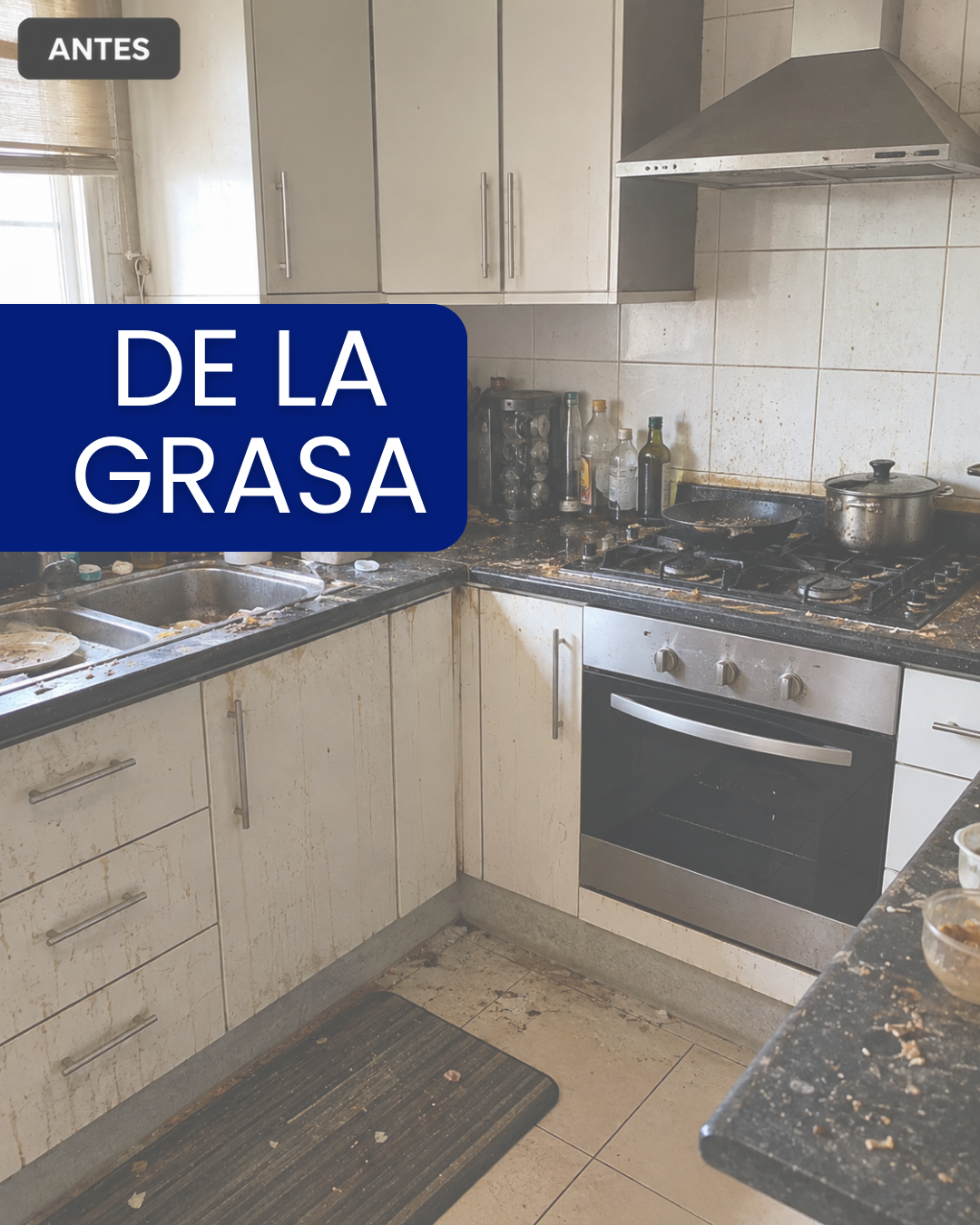 antes-Control-Cleaning